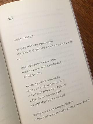 KakaoTalk_Photo_2019-04-08-22-09-38.jpeg