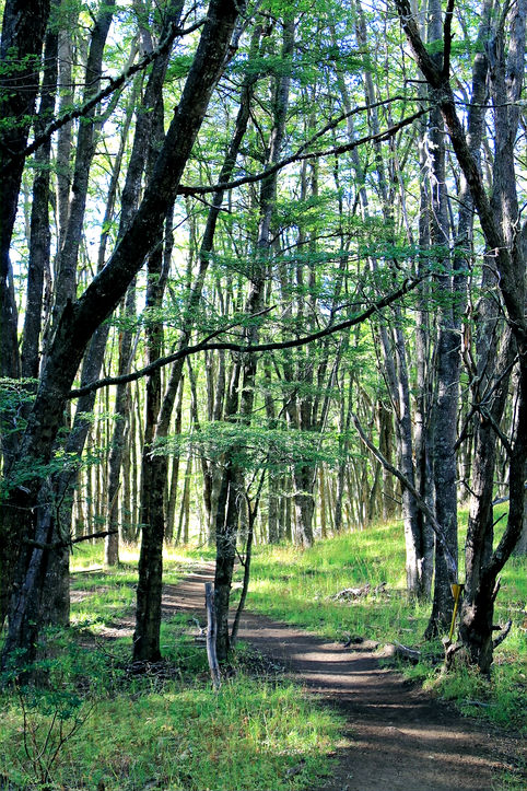 Laguna Cerro Castillo hike