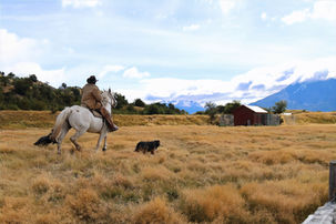 Estancia La Peninsula