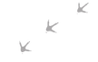 2_edited.png