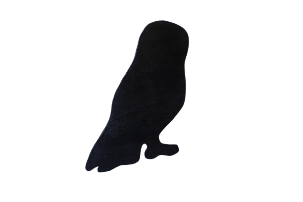 Miniature : Lot de 7 silhouettes rapaces nocturnes