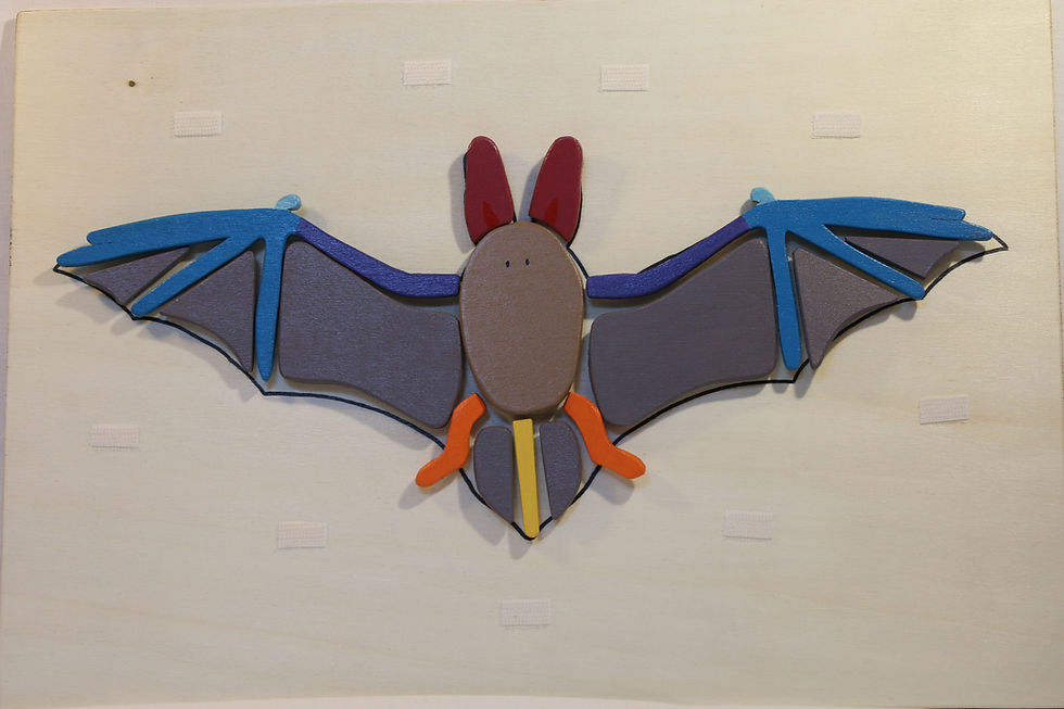 Miniature : Plaque morphologie d'une chauve-souris
