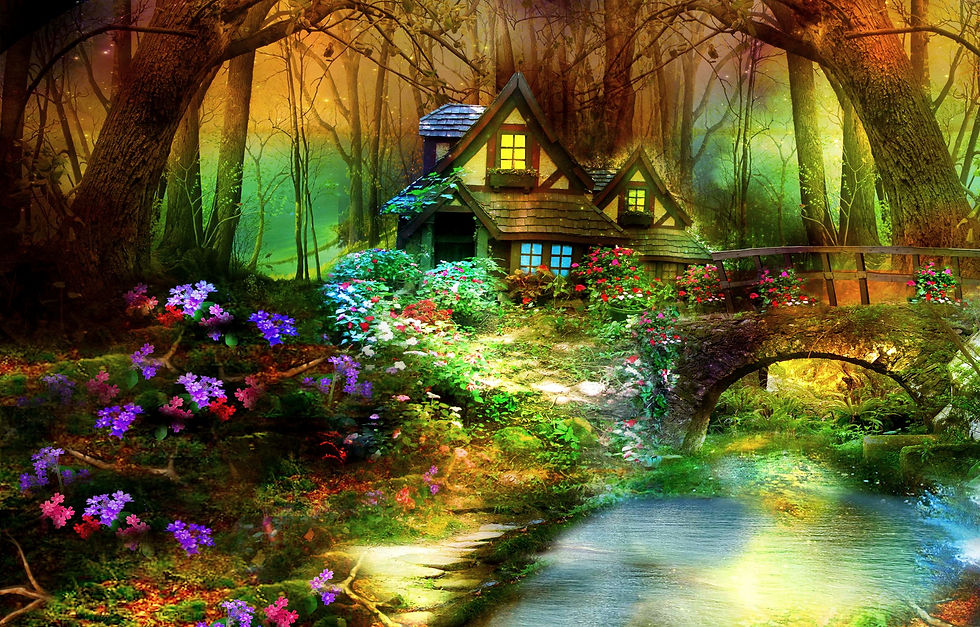 magic-forest-322158.jpg
