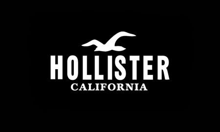 hollister logo
