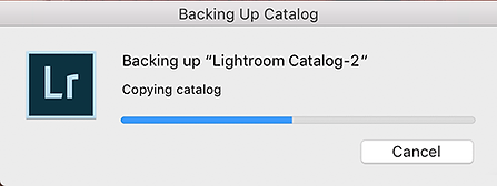 Backing up Catalog.png