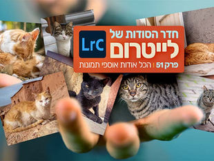 חדר הסודות של לייטרום 51 - הכל אודות אוספי תמונות 1