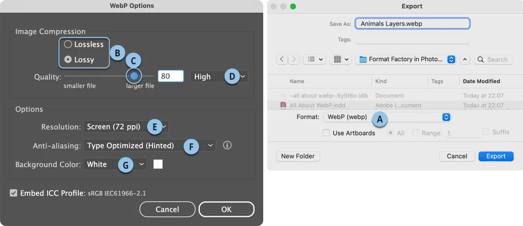 מילון הפורמטים המלא Webp
