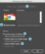 Photoshop Import Options1.png