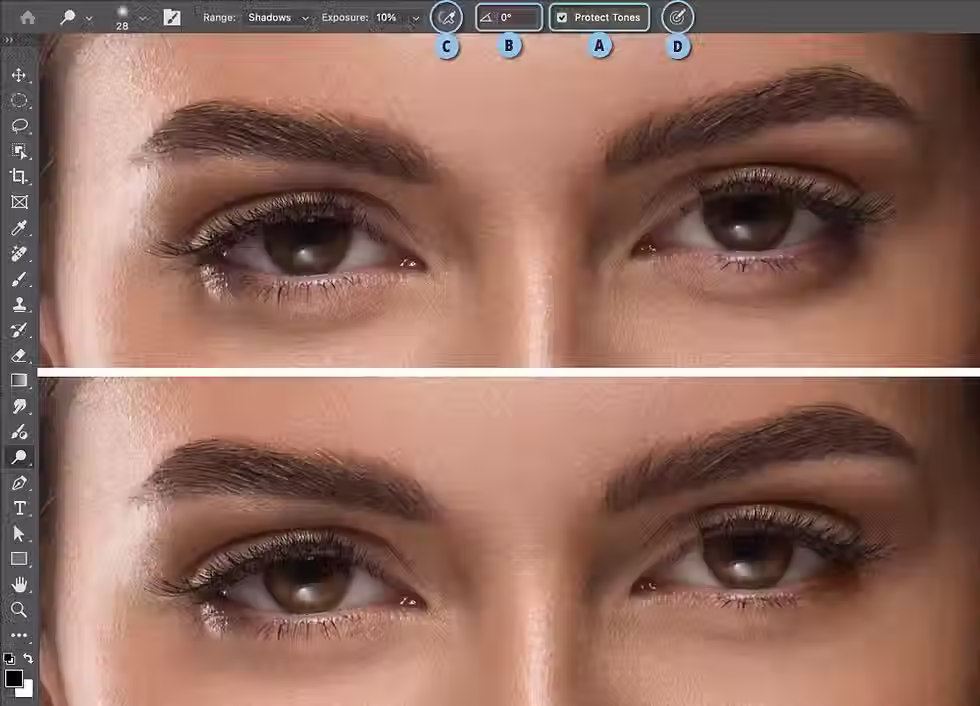 בדוגמא העליונה תמונת המקור ובתחתונה לאחר שימוש בכלי ההבהרה להבהרת קשתיות העיניים וה׳שקיות׳ מתחת לעיניים