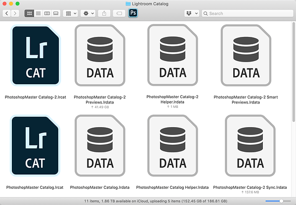 Lightroom Catalog Folder.png