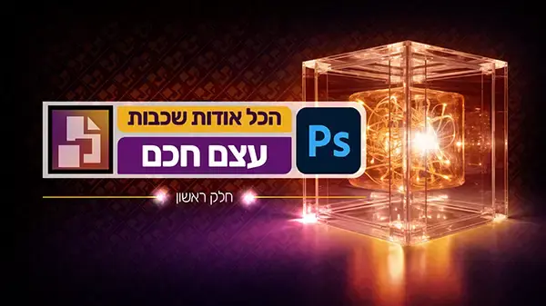 הכל אודות שכבות עצם חכם - חלק ראשון