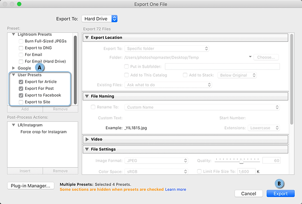 Export with multiple Presets.png
