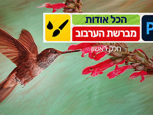 הכל אודות מברשת הערבוב - חלק ראשון