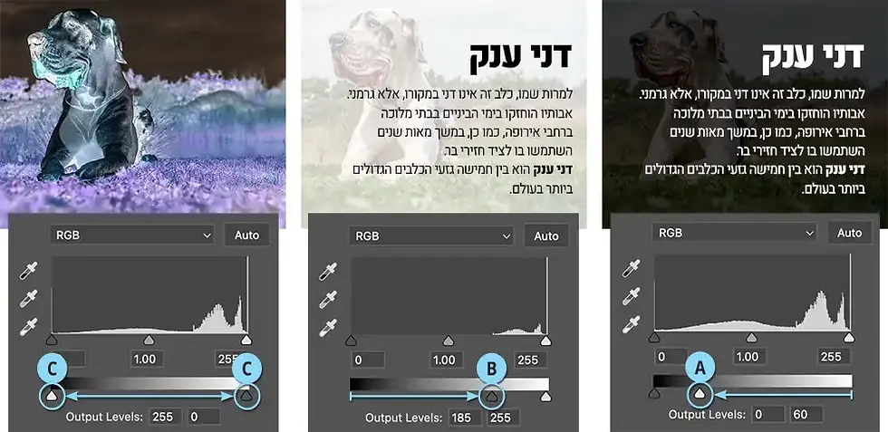 פוטושופ משמשת צלמים ומעצבים כאחד. לעיתים מאפיינים מסוימים עשויים להיות זניחים עבור צלמים וחשובים עבור מעצבים וההפך