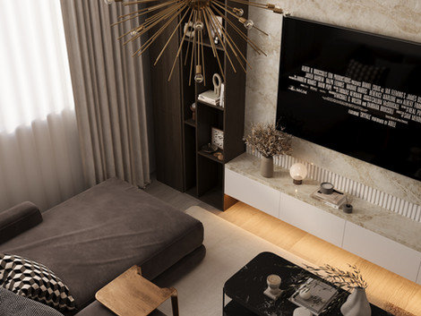 CHICAGO CONDO REMODELING