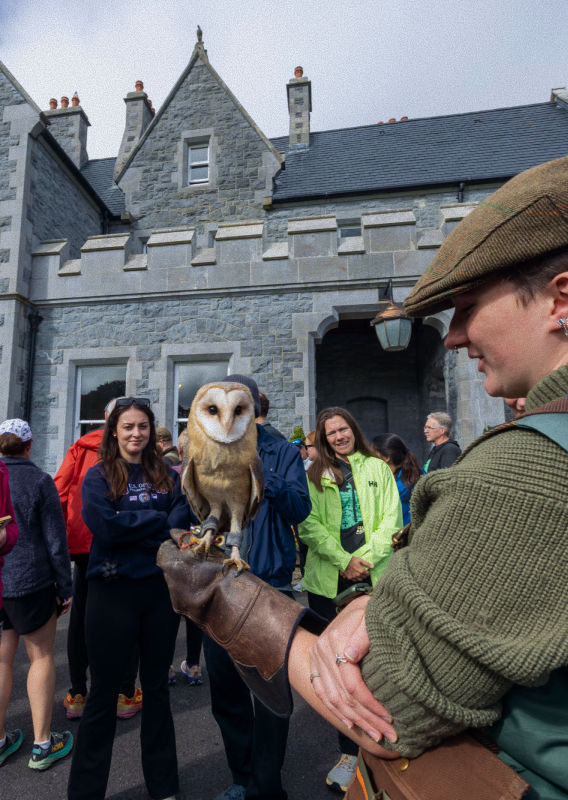 falconry Culture.jpg