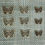 Thumbnail: steampunk butterflies chipboard