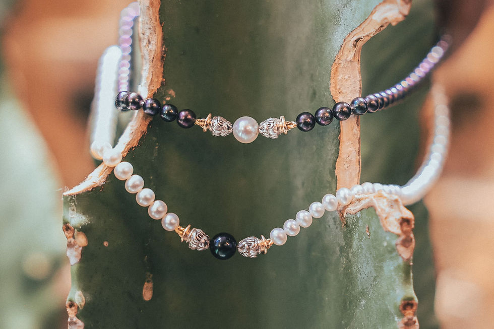 Miniature : Colliers Lions