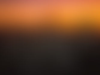 Love Equation: 37% Rule Revealed