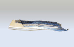 4F11_CR1_01.jpg