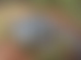 Relocating Home Sellers in Pinehurst