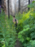 IMG_1092.jpeg