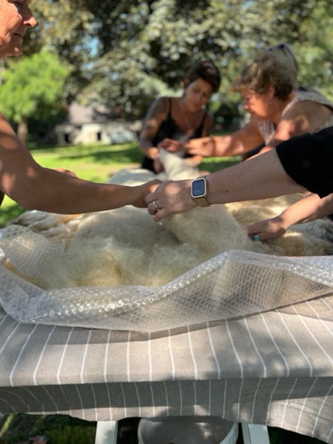 De gekaarde wol wordt in laagjes zorgvuldig verdeeld over de huidzijde van de vacht.