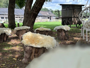 workshop schapenvacht vilten Veluwse Vachtjes Ermelo Speuld