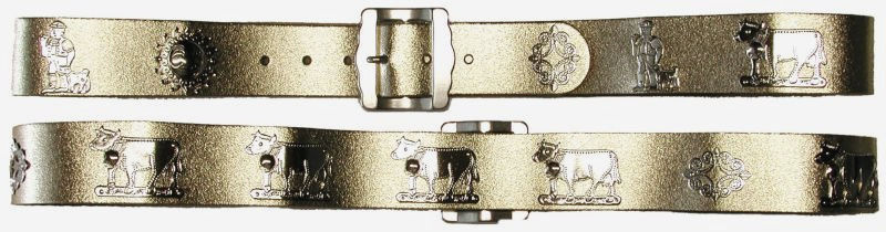 Miniaturbild: Appenzellergurt 4 cm breit in bunten Farben
