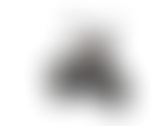 Bashan - Company Profile