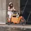 Miniatura: Yuba Supercargo - e-Bike