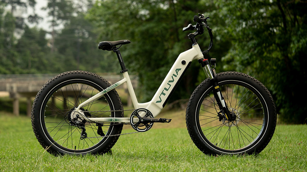 縮圖：Reindeer - Urban/Trail e-Bike
