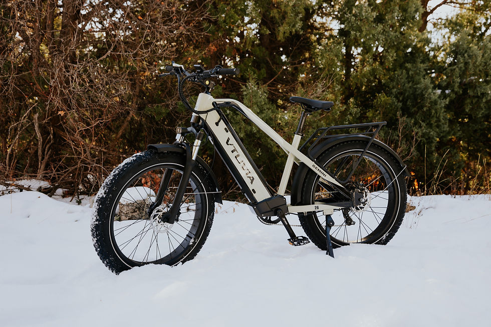 縮圖：Gemini - Trail e-Bike
