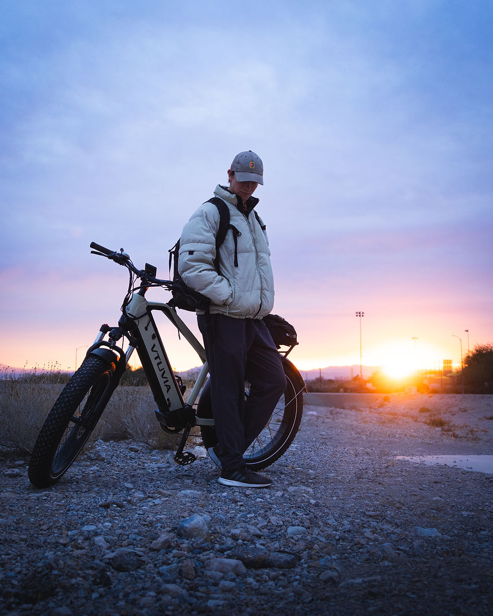 Thumbnail: Gemini - Trail e-Bike