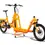 Miniatura: Yuba Supercargo - e-Bike