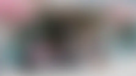 BW Vision CE Concept
