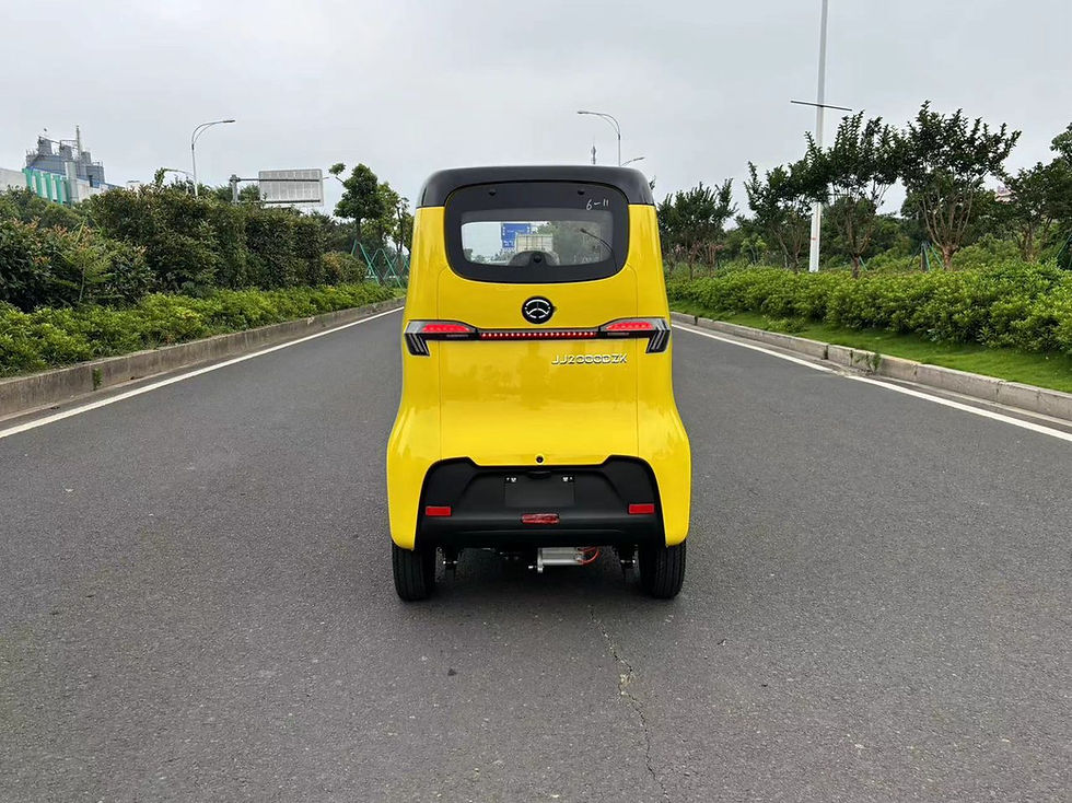 Miniatura: SQ3 Passenger - e-Micro