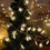 Thumbnail: Star Fairy Lights, 20ft 40 LED BatteryPowered String Lights