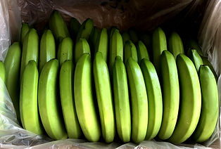 organic banana