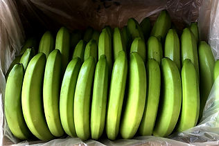 organic banana