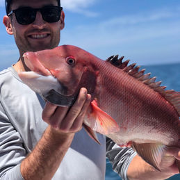 WhatsApp Image 2022-04-15 at 2.13.19 PM (1).jpeg