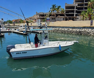 SEA PRO PANGA.jpeg