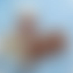 German Dialects: A Fascinating Journey Through Regional Variation