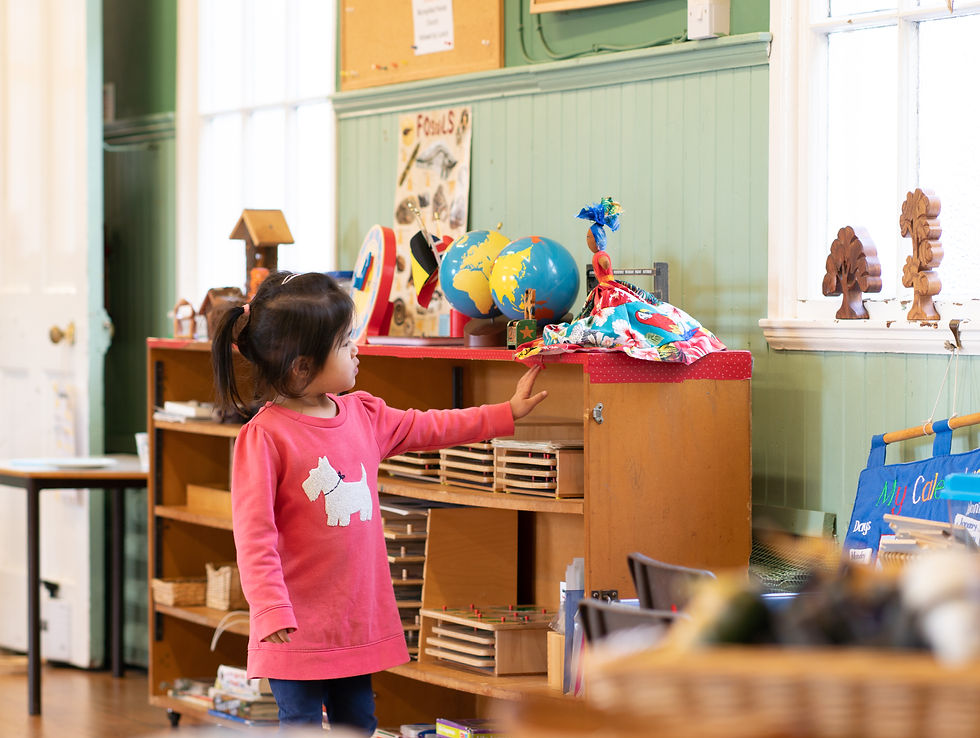Come and visit us in our Montessori environment.