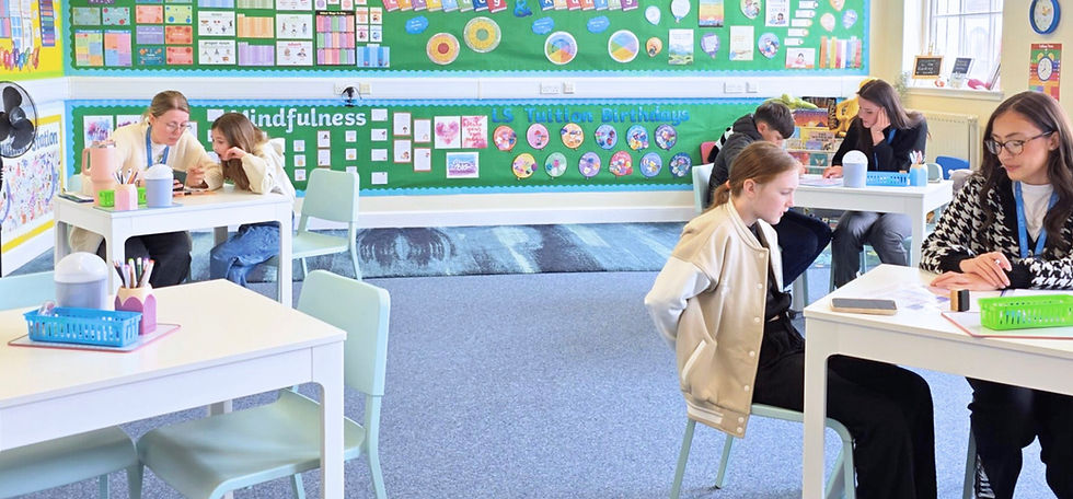 Private Tuition in a Class with Primary pupils - LS Tuition