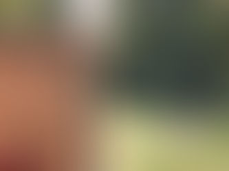 Edinburgh School Holiday Camps 2026