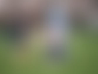 Watson’s Holiday Camps: Where Summer Shines!