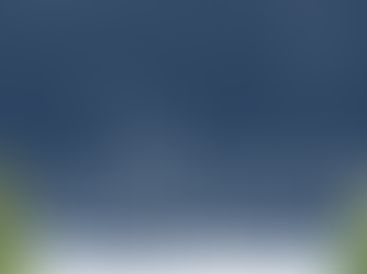 Merchiston School Christmas Fair