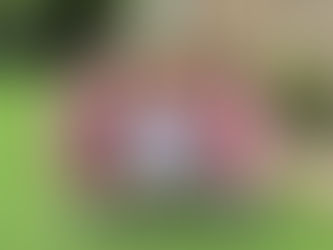 The Compass School Awarded ‘Double GOLD’ Status as a UN Rights Respecting School!