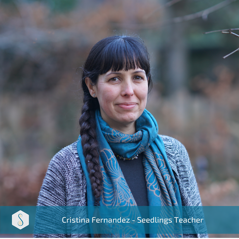 Seedlings will open in the Autumn Term, led by Cristina Fernandez Sanchez.